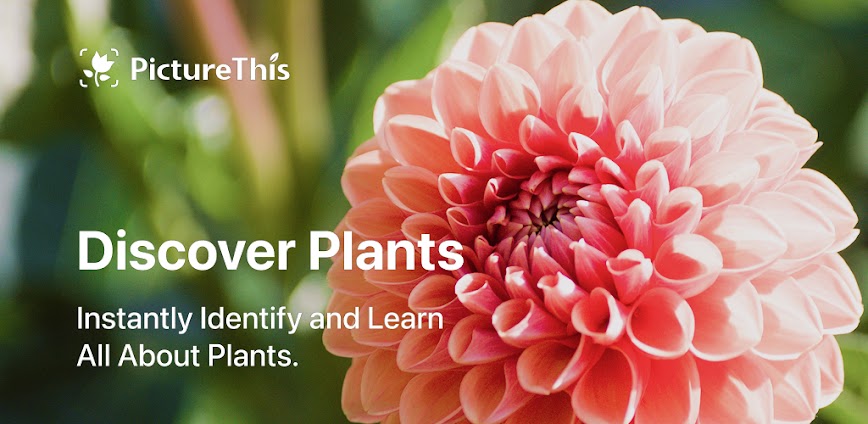 Download PictureThis – Plant Identifier Mod APK 5.17.0 – (Unlocked)