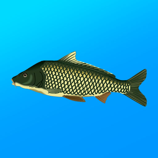 Download True Fishing. Simulator Mod APK 1.19.0.903 – (Unlimited Money)