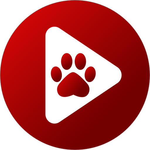 Download Bear Player Mod APK 2.20.19 – (Remove ads,Free purchase,Patched,No Ads)