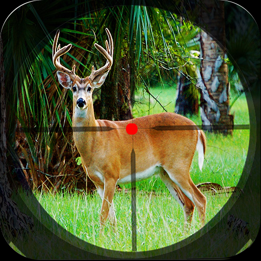 Download Safari Deer Hunting: Gun Games Mod APK 1.93 – (Unlimited money)
