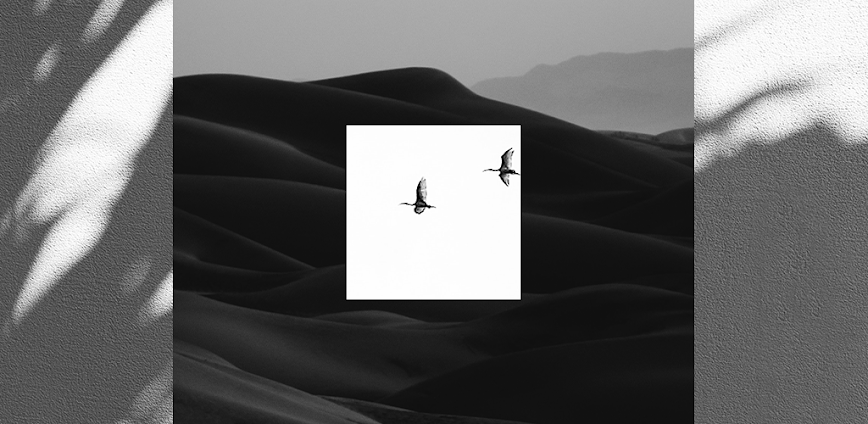 EPIK – AI Photo & Video Editor