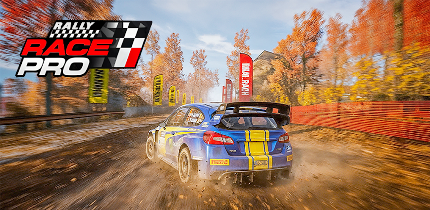 Rally Race Pro 3.0 Car Racing