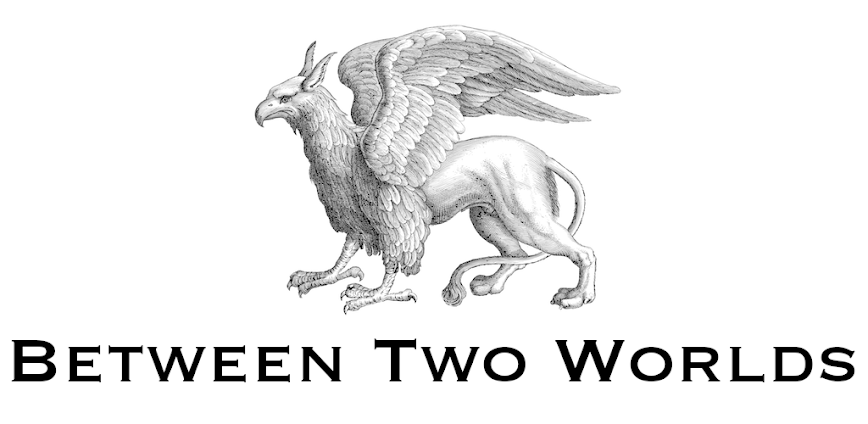 Between Two Worlds v1.0.10 MOD APK [Unlocked Stories, No ADS]