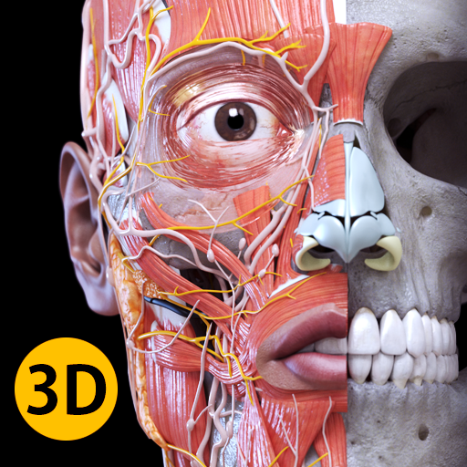 Anatomy 3D Atlas v7.0.6 MOD APK [Premium Unlocked]