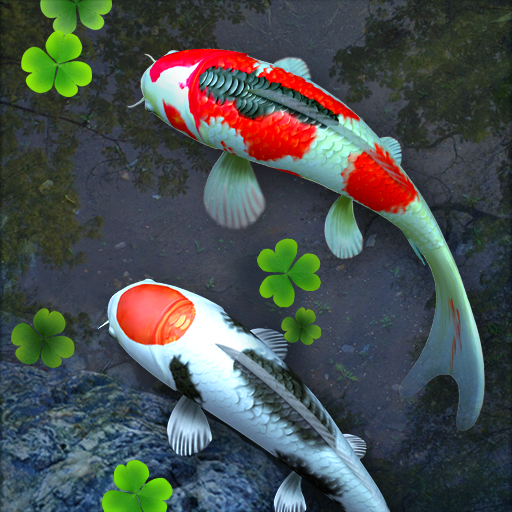 Water Garden Live Wallpaper v2.06 MOD APK [Premium Unlocked]