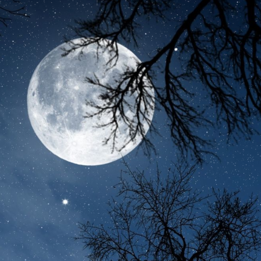 Relax Night v6.1.3 MOD APK [Premium Unlocked]