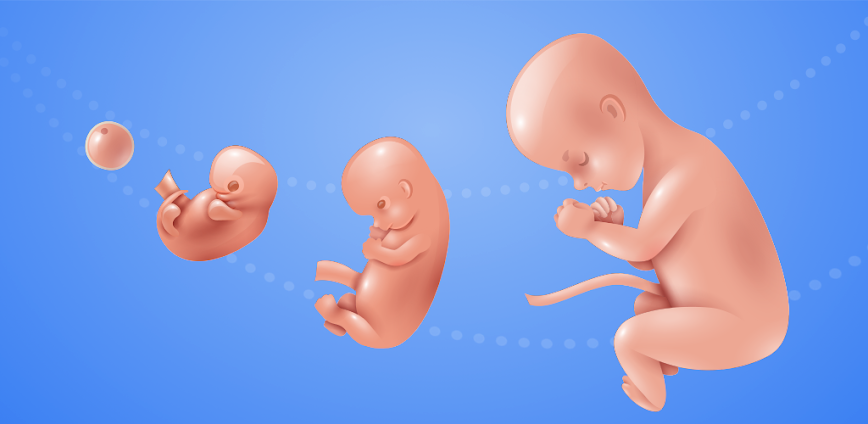 Idle 9 Months v1.41.7 MOD APK [Unlimited Cell, Nutrition]