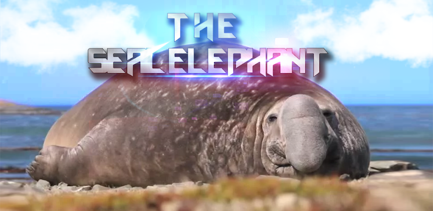The Seal Elephant v1.2.4 MOD APK [Unlimited Money]