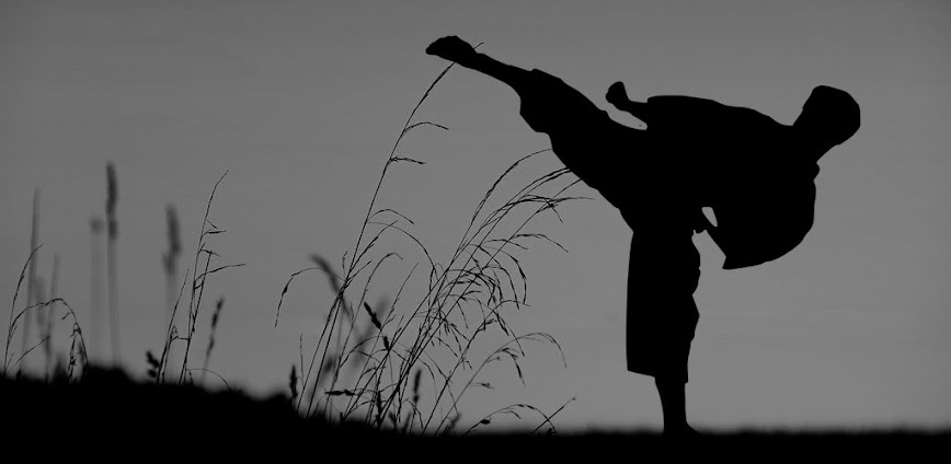 Flexibility for Fighters v2.22.google MOD APK [Premium Unlocked]