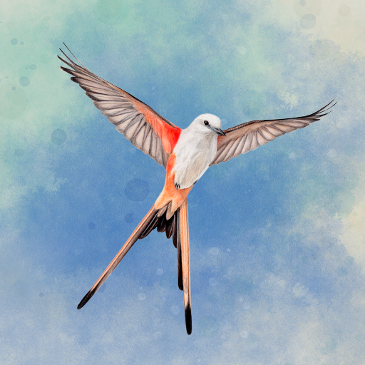 Wingspan: The Board Game v1.7.941 MOD APK [Unlocked all]