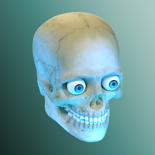 Idle Human 1.13 APK [MOD money]