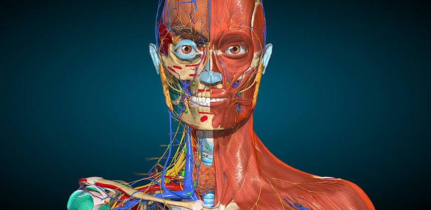 Anatomy Learning – 3D Anatomy Atlas 2.1.419 APK [MOD unlocked]