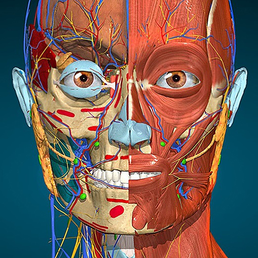 Anatomy Learning – 3D Anatomy Atlas 2.1.419 APK [MOD unlocked]
