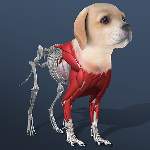 Idle Pet – Create cell by cell 5.7 APK [MOD moeny]