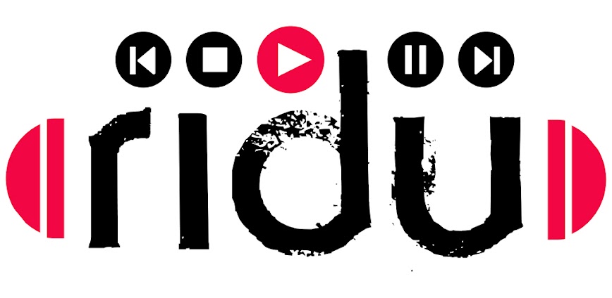 RIDU 0.0.38 APK